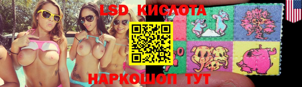 Тельмана  блэк спрут ссылки  Вход с VPN  ЛСД экстази ecstasy 