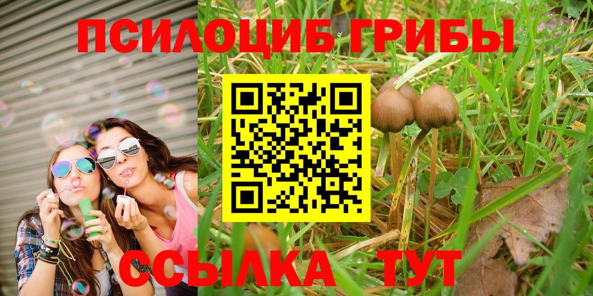 Псилоцибиновые грибы MAGIC MUSHROOMS  Вход с VPN  Тельмана 
